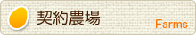 契約農場